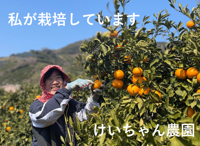 早割!マルシェでも大人気!甘酸っぱさが大人気の極早生みかん。和歌山県オリジナル品種YN26(3㎏)始まります。 先着30名様限定
