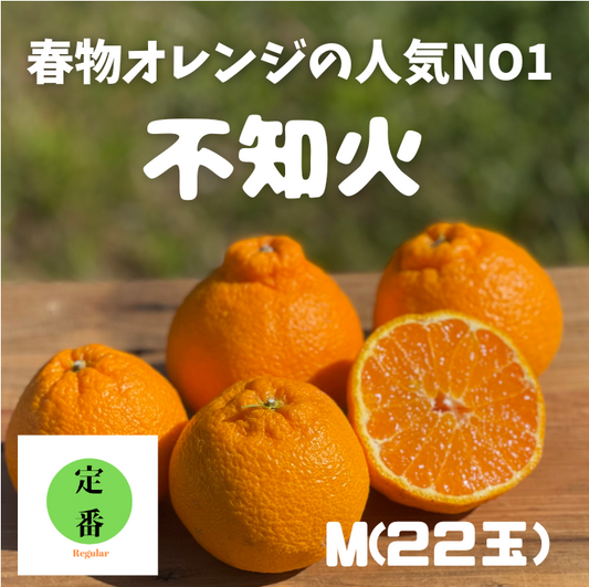 いよいよ始まります!春物オレンジ一番人気!甘くてジューシー和歌山県産不知火(しらぬい)Mサイズ(22個)