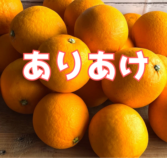 高糖度でジューシーな果肉。人気拡大中の春物オレンジ「ありあけ」です 2.8kg~