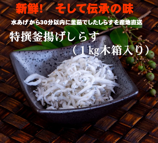 ふっくら、つやつや、プリっぷり。魚政のしらす 特撰釜揚げしらす(1kg木箱入り)