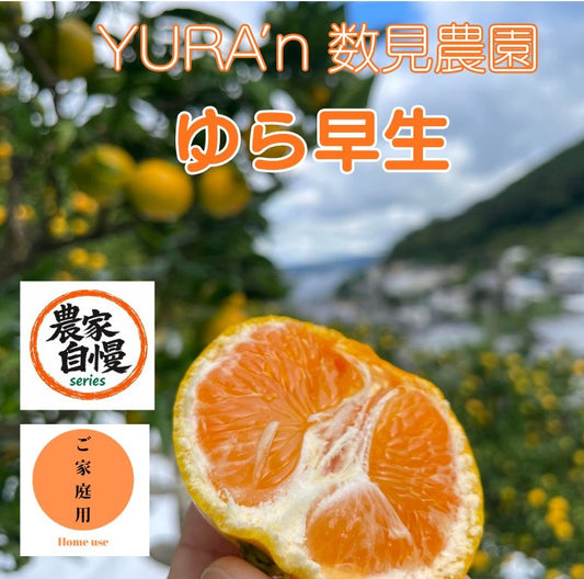 ゆら早生発祥の地。YURA’n数見農園のご家庭用ゆら早生みかん(5㎏) ~紀州由良町産~