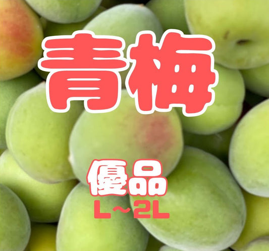 【先行予約!】数量限定!紀州南高梅 青梅 L~2Lサイズ 優品 1kg / 2kg /3kg / 5kg / 10kg