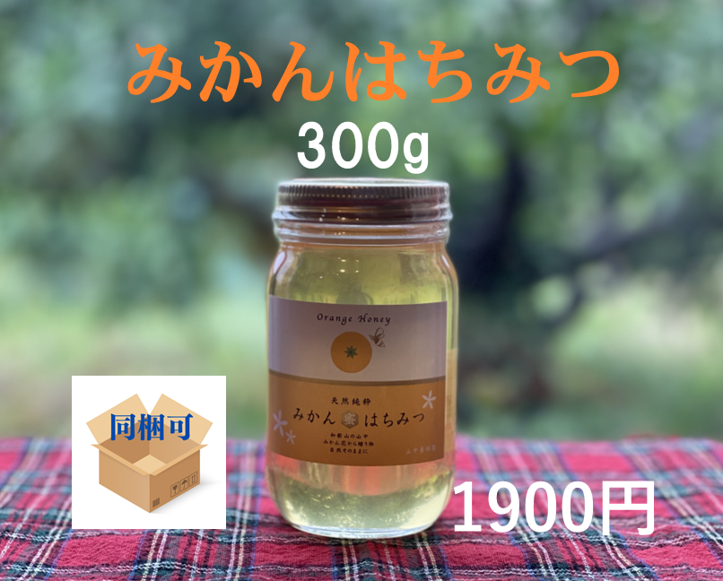 mikanhatimitu580_2.jpg