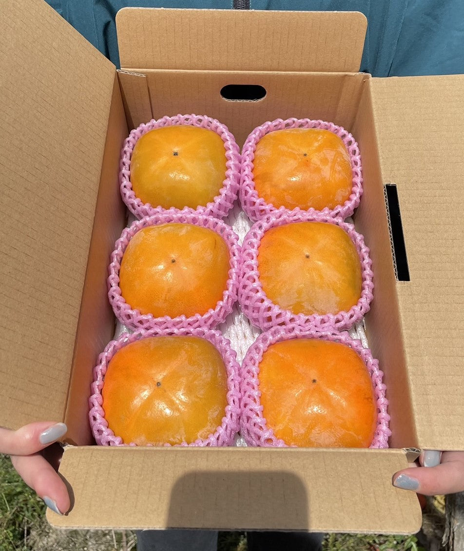 甘い!味心の大玉たねなし柿の詰め合わせ(3Lサイズ×6個) 送料税込み2980円