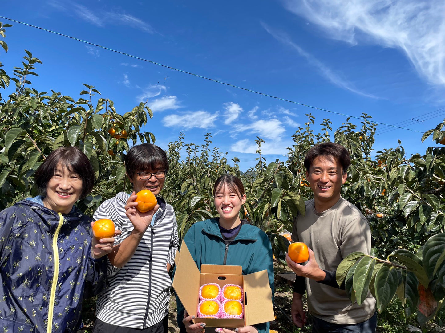 甘い!味心の大玉たねなし柿の詰め合わせ(3Lサイズ×6個) 送料税込み2980円