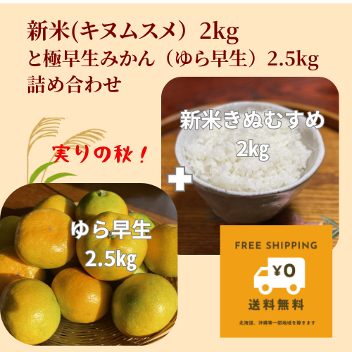 新米きぬむすめ2㎏+極早生みかん2.5㎏詰め合わせ。30名様限定 好評につき送料税込3980円のご奉仕価格継続!