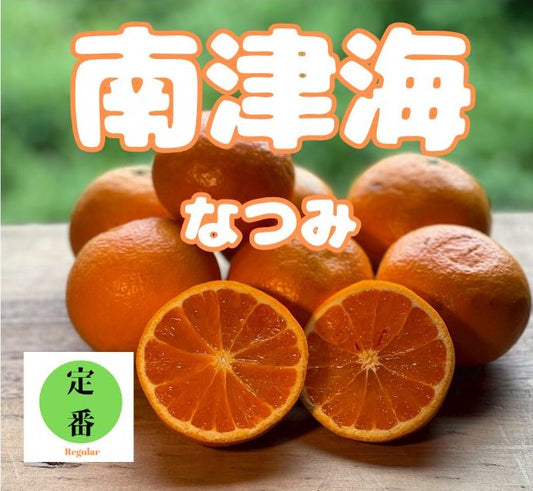 5月なのにおいしいみかん!南津海(なつみ) 和歌山県産 3kg/5kg サイズMIX