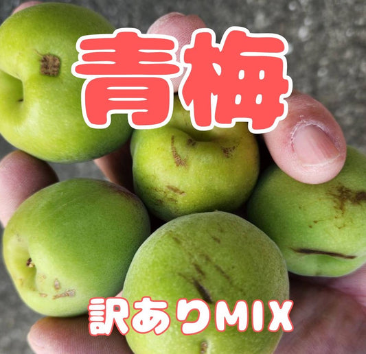 【先行予約!】紀州南高梅 訳あり(サイズはMIX) 1kg / 2kg /3kg / 5kg / 10kg