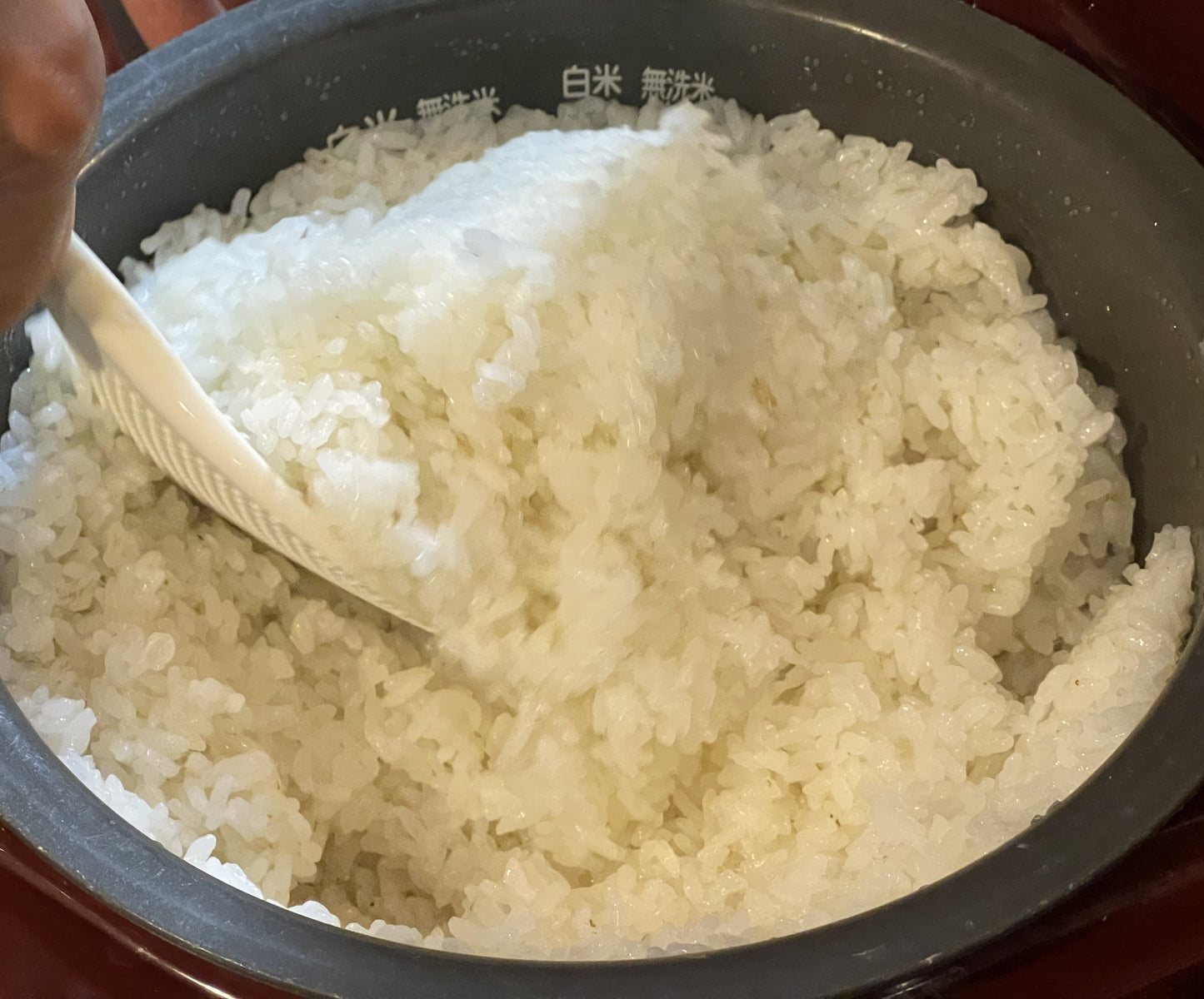新米きぬむすめ2㎏+極早生みかん2.5㎏詰め合わせ。30名様限定 好評につき送料税込3980円のご奉仕価格継続!