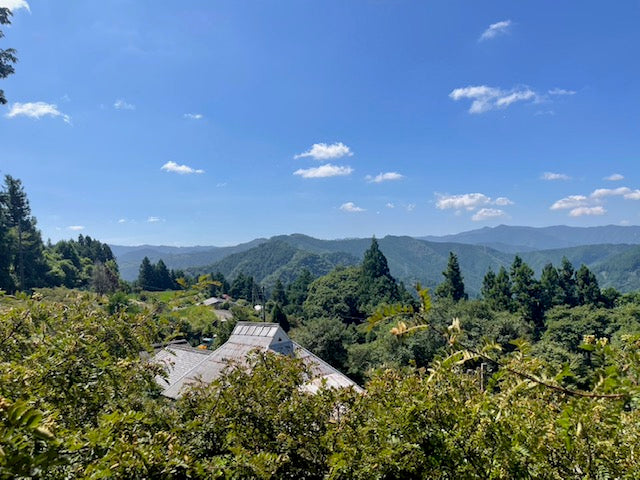 きとら農園の粉山椒(1パック3g)