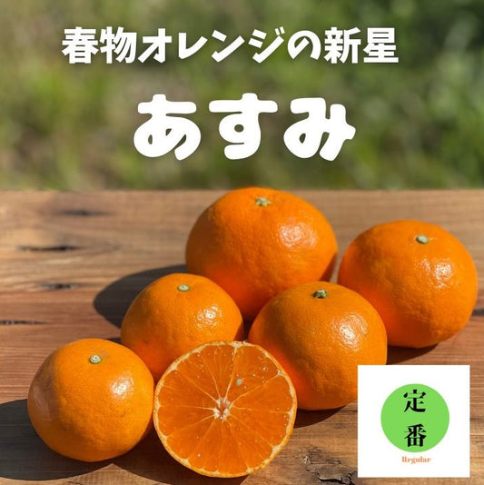 春物オレンジの新星“あすみ”。5名様限定!しかも2月20日(金)正午までの期間限定!人気のせとか、甘平、そして新星のあすみちゃん!貴方は何派?