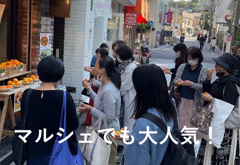 早割!マルシェでも大人気!甘酸っぱさが大人気の極早生みかん。和歌山県オリジナル品種YN26(3㎏)始まります。 先着30名様限定