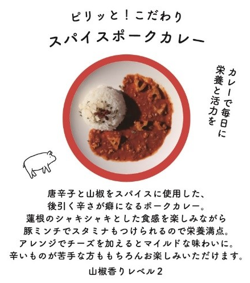 ピリッと!こだわりスパイスポークカレー