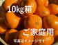 年内お届けは25日（水）までにご注文ください！おいしい！でもちょっぴり訳あり　ご家庭用有田みかん　10㎏