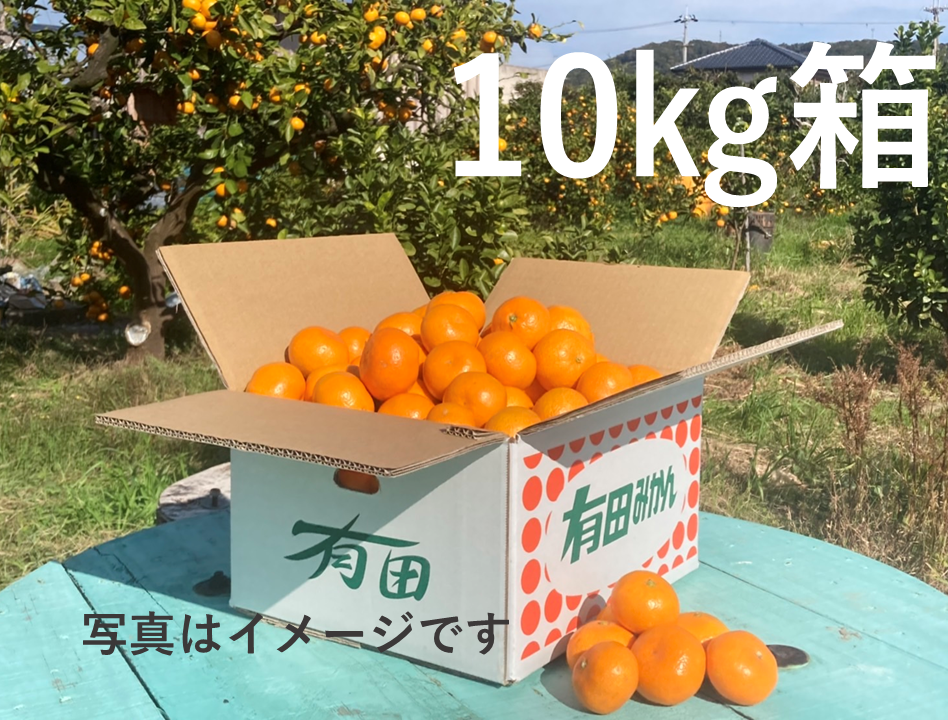 年内お届けは25日（水）までにご注文ください！おいしい！でもちょっぴり訳あり　ご家庭用有田みかん　10㎏