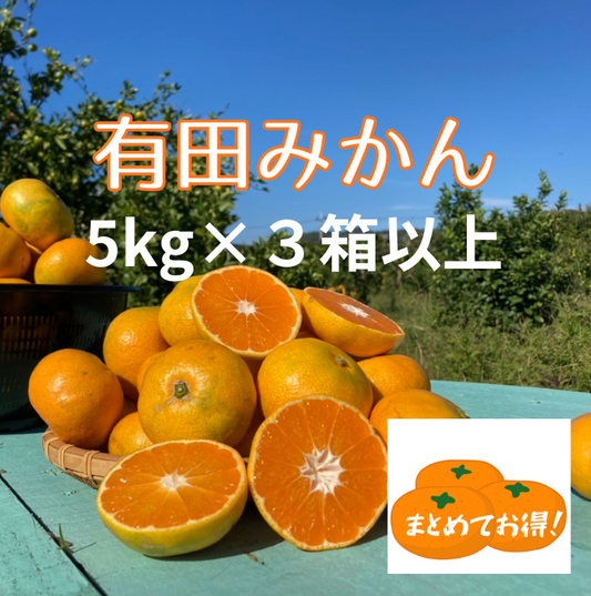 商品一覧 – Farmers Liner Kinokuni 商品一覧 – Farmers Liner Kinokuni