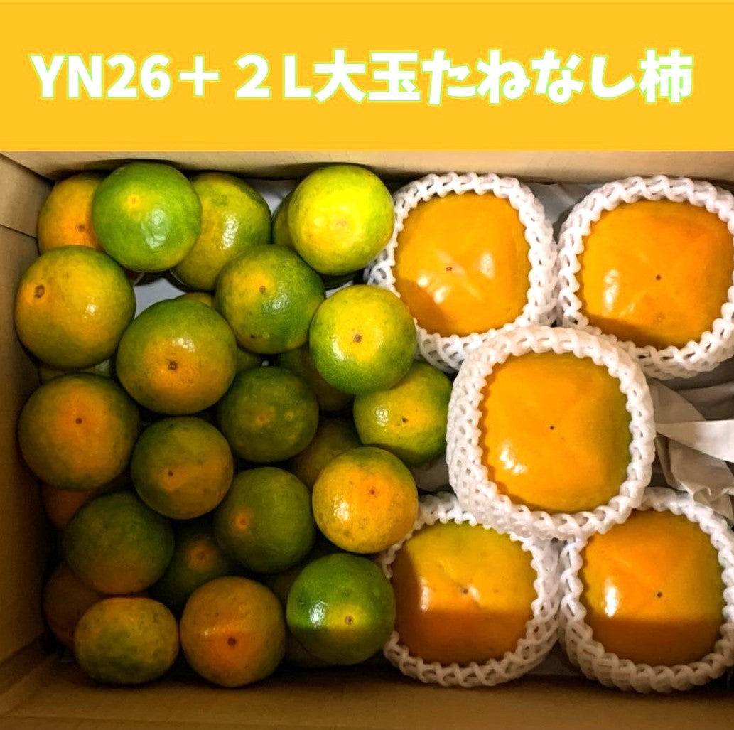 秋の味くらべ｜YN26 2kgと味心の2Lたねなし柿5個 詰め合わせ