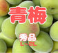 【先行予約！】数量限定！紀州南高梅 青梅 L～2Lサイズ 秀品 1kg / 2kg /3kg / 5kg / 10kg