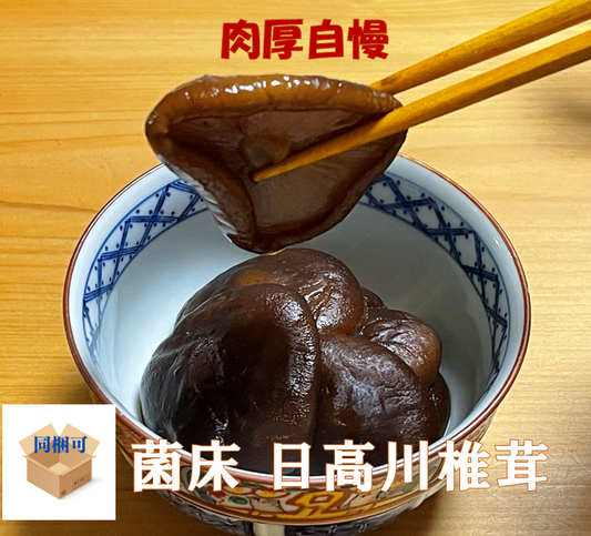 旨味たっぷり！肉厚が自慢の乾燥しいたけ　 菌床　日高川椎茸