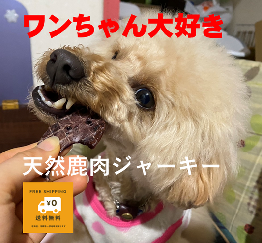 体験セール！送料無料！2袋セット1400円（10名様限定）！ワンちゃん大好き！喰いつきが違う！ペット用天然鹿ジャーキー（ドッグフード・キャットフード）　