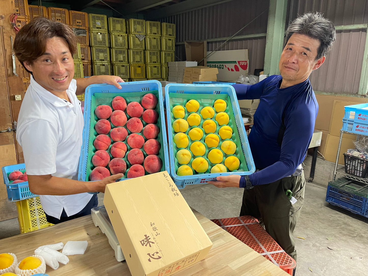 農家自慢！和歌山産なつっこ（秀）大玉6玉｜高糖度の人気桃を産地直送・贈答用にもおすすめ