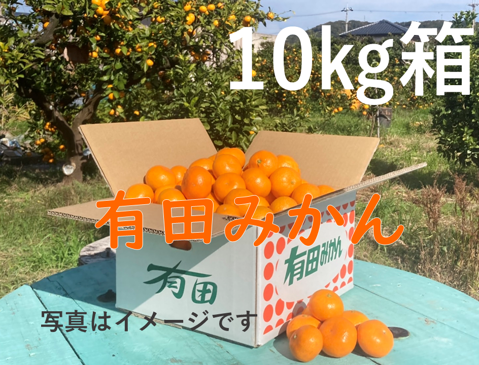 年内お届けは25日（水）までにご注文ください！定番！ご自宅で。お歳暮に。有田みかん（10㎏）