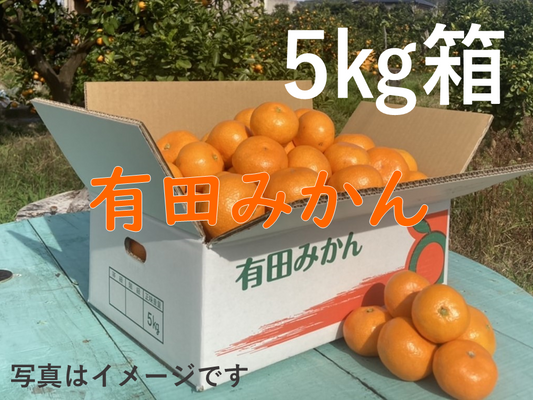 年内お届けは25日（水）までにご注文ください！定番！ご自宅で。お歳暮に。有田みかん（5㎏）