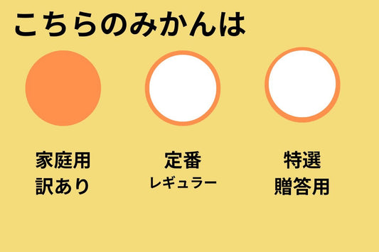 年内お届けは25日（水）までにご注文ください！おいしい！でもちょっぴり訳あり　ご家庭用有田みかん　10㎏