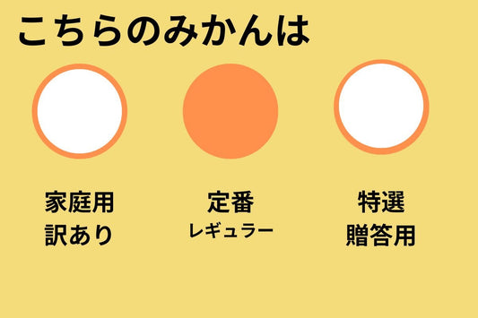 年内お届けは25日（水）までにご注文ください！大人気！有田みかん（コマみかん）３㎏　