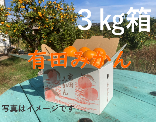 年内お届けは25日（水）までにご注文ください！定番！ご自宅で！お歳暮に！有田みかん（3㎏）