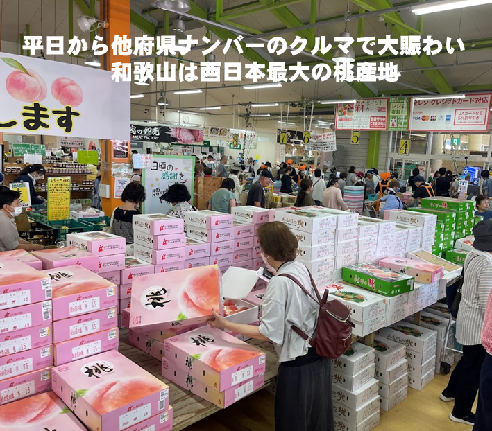 和歌山　名産あら川の桃（秀）2.5㎏５Lサイズ6玉入り　30名様限定