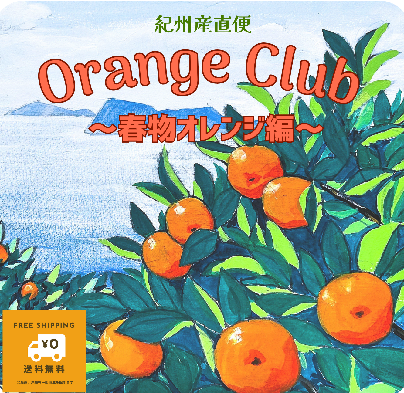 2月～4月の期間限定サブスク　Orange Club～春物オレンジ編～