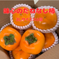 甘い！味心の大玉たねなし柿の詰め合わせ（３Lサイズ×６個） 送料税込み2980円