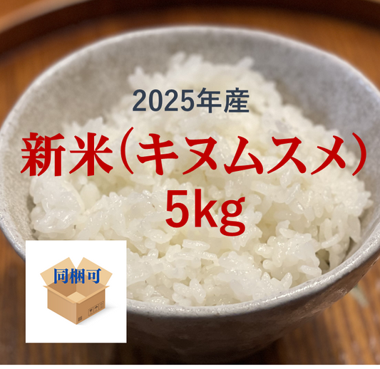 2025年和歌山県産 新米「キヌムスメ」5kg