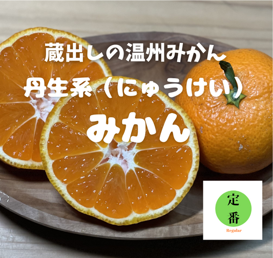 今シーズン最後の温州みかん！蔵出しの“丹生系（にゅうけい）みかん”　3kg 2900円～