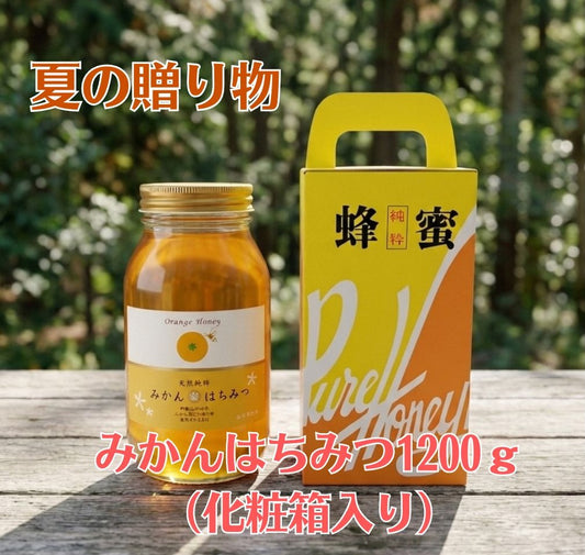 夏の贈り物に｜和歌山産みかん蜂蜜【新蜜】１２００ｇ化粧箱入り｜国産純粋はちみつギフト｜じゅん散歩紹介・数量限定