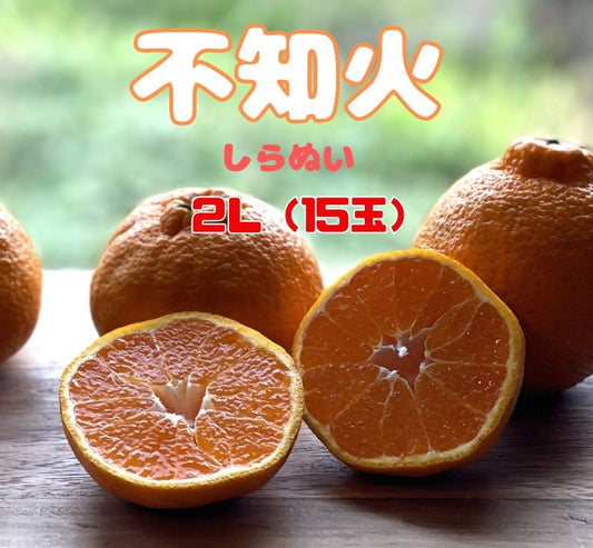いよいよ始まります！春物オレンジ一番人気！甘くてジューシー和歌山県産不知火（しらぬい）２Lサイズ（15個）