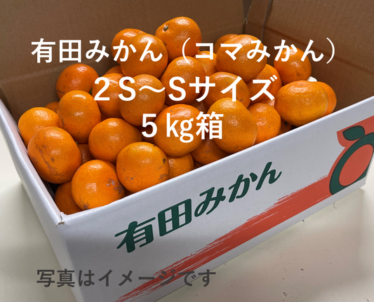 年内お届けは25日（水）までにご注文ください！大人気！有田みかん（コマみかん）5㎏　