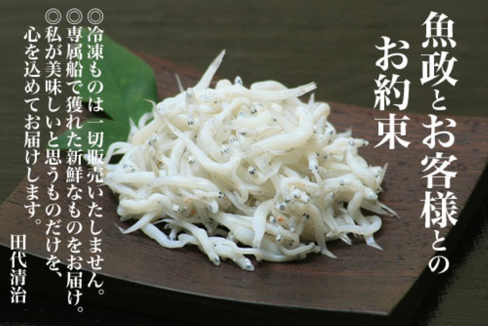 ふっくら、つやつや、プリっぷり。魚政のしらす　釜揚げしらす（500ｇご家庭用パック入り）