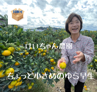 極早生みかんの王様！けいちゃん農園のゆら早生3kg/5kg  小粒で甘く、爽やかな酸味。おススメです。