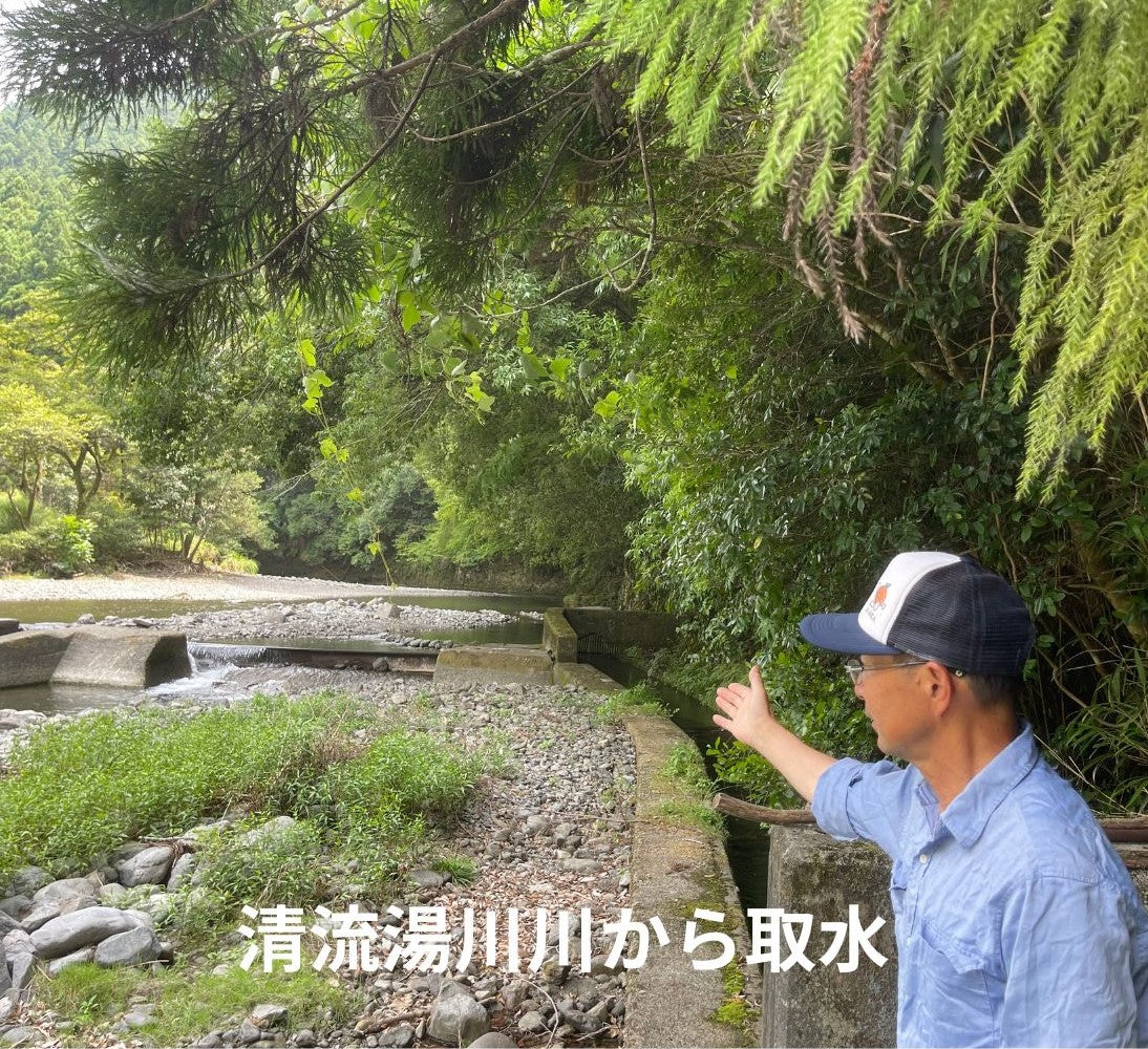 紀伊山地の源流が育む清水の新米キヌムスメ｜湯川せせらぎ農園5kg/10kg