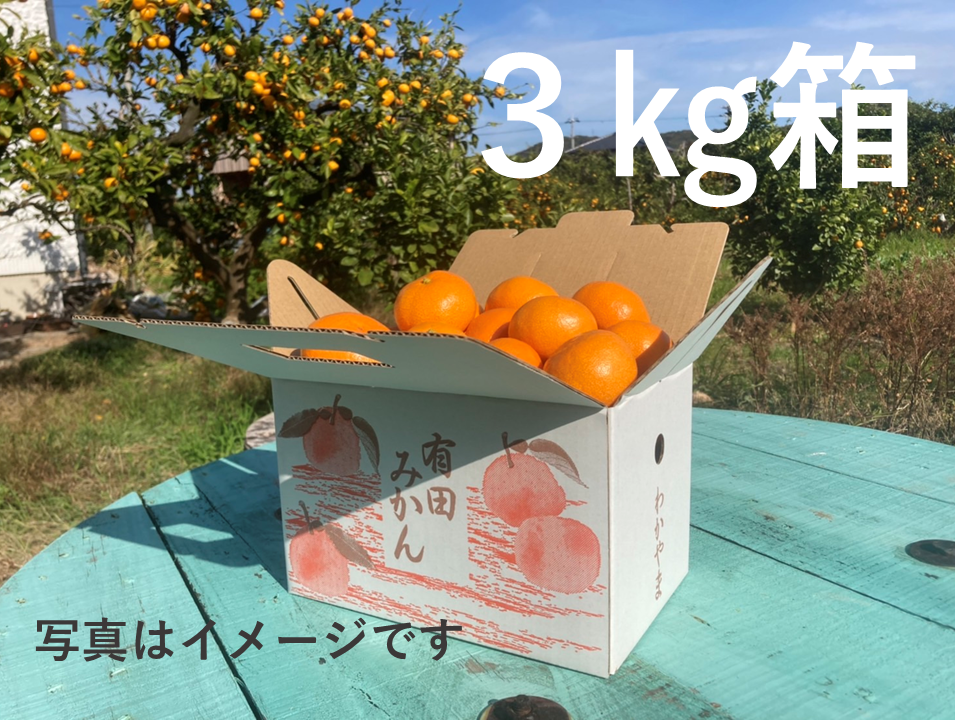 紀州産直便　Orange Club みかん編始めます。紀州産直便ならではのおいしいみかんを3カ月限定でお届けするサブスクです。送料無料2890円/月～