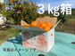 紀州産直便　Orange Club みかん編始めます。紀州産直便ならではのおいしいみかんを3カ月限定でお届けするサブスクです。送料無料2890円/月～