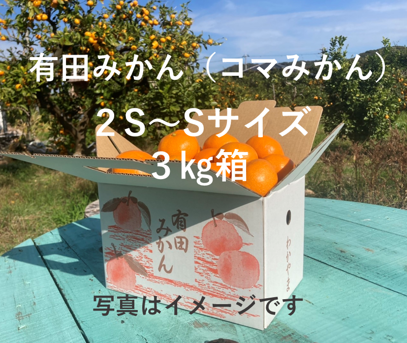 年内お届けは25日（水）までにご注文ください！大人気！有田みかん（コマみかん）３㎏　