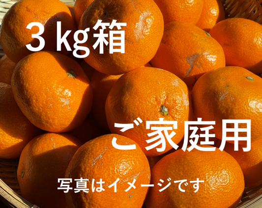 年内お届けは25日（水）までにご注文ください！おいしい！でもちょっぴり訳あり　ご家庭用有田みかん　３㎏