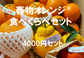 先行予約！おまかせ春物オレンジの食べ比べセット（4000円セット）