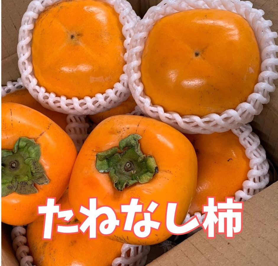 秋の味くらべ｜YN26 2kgと味心の2Lたねなし柿5個 詰め合わせ