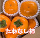 秋の味くらべ｜YN26 2kgと味心の2Lたねなし柿5個 詰め合わせ