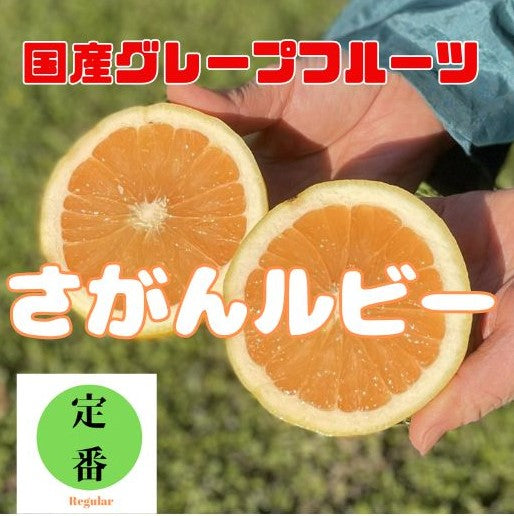 おいしく食べて健康に｜国産グレープフルーツ“和歌山県産さがんルビー ”