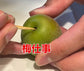 【先行予約！】数量限定！紀州南高梅 青梅 L～2Lサイズ 優品 1kg / 2kg /3kg / 5kg / 10kg